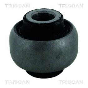 Lagerung, Lenker von TRISCAN