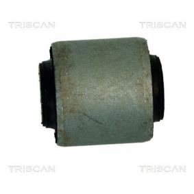 Lagerung, Lenker von TRISCAN 8500 50810