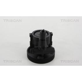 Achetez des Pompe de direction assistée TRISCAN 8515 10610 à prix pour 254,55 €