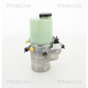 Osta Ohjaustehostimen pumppu TRISCAN:llä 8515 10623 edullisesti hintaan 860,71 €