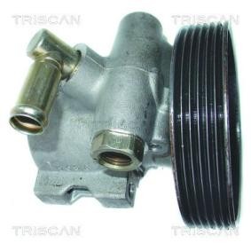 Servopumpe von TRISCAN