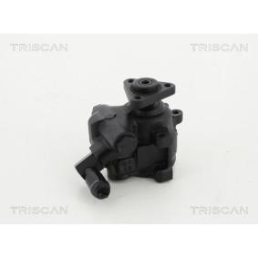 Servopumpe von TRISCAN
