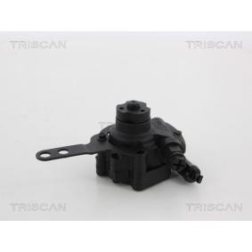 Servopumpe von TRISCAN