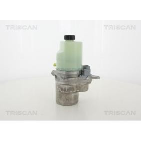 Servopumpe von TRISCAN