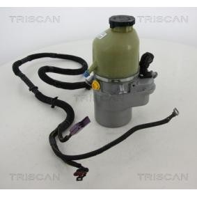 Servopumpe von TRISCAN