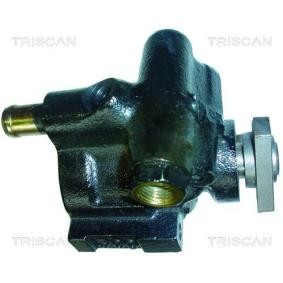 Servopumpe von TRISCAN
