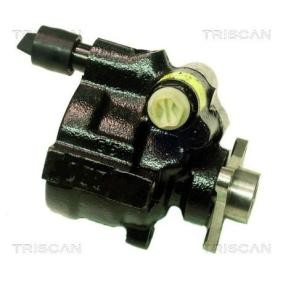 Servopumpe von TRISCAN