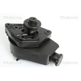 Servopumpe von TRISCAN