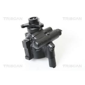 Servopumpe von TRISCAN