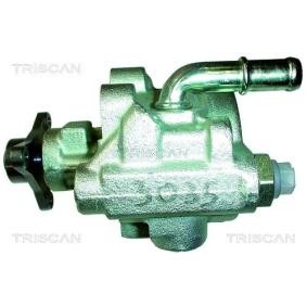 Servopumpe von TRISCAN