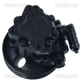 Servopumpe von TRISCAN