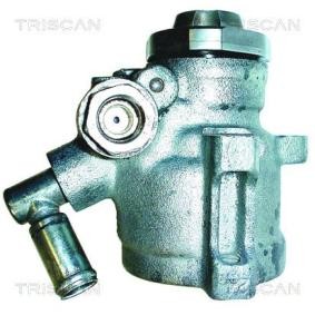 Servopumpe von TRISCAN