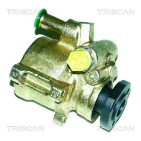 Servopumpe von TRISCAN