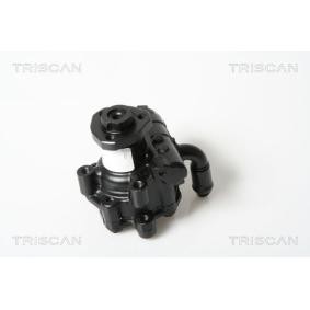 Servopumpe von TRISCAN