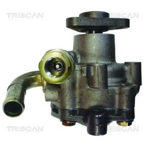 Servopumpe von TRISCAN