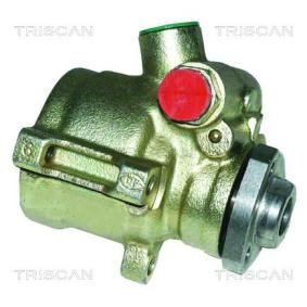 Servopumpe von TRISCAN