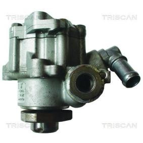 Servopumpe von TRISCAN
