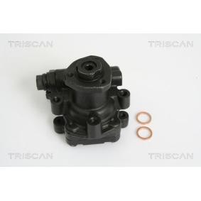 Servopumpe von TRISCAN