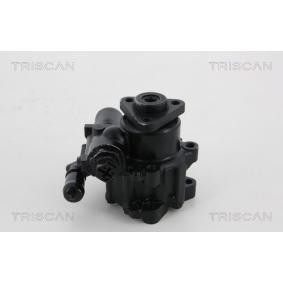 Servopumpe von TRISCAN