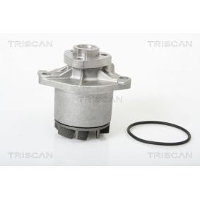 Wasserpumpe von TRISCAN