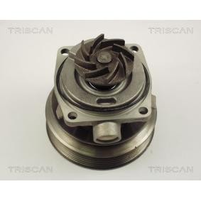 Wasserpumpe von TRISCAN