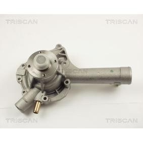 Wasserpumpe von TRISCAN