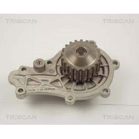 Wasserpumpe von TRISCAN