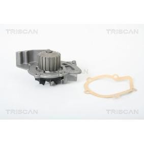 Wasserpumpe von TRISCAN