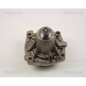 Achetez des Pompe à eau TRISCAN 8600 10011 à prix pour 49,47 €