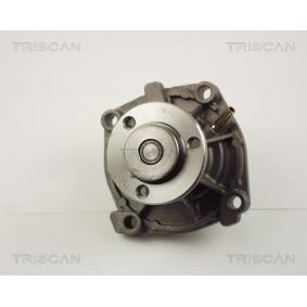 Achetez des Pompe à eau TRISCAN 8600 10013 à prix pour 64,31 €