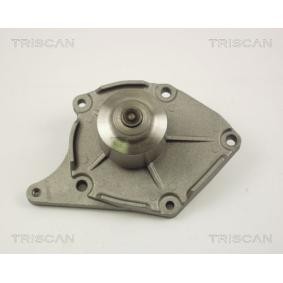 Achetez des Pompe à eau TRISCAN 8600 10016 à prix pour 45,28 €