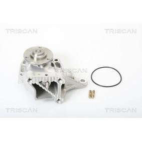 Achetez des Pompe à eau TRISCAN 8600 10018 à prix pour 129,26 €