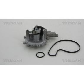 Achetez des Pompe à eau TRISCAN 8600 10028 à prix pour 57,54 €