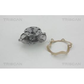 Achetez des Pompe à eau TRISCAN 8600 10029 à prix pour 65,85 €