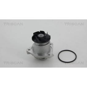 Wasserpumpe von TRISCAN