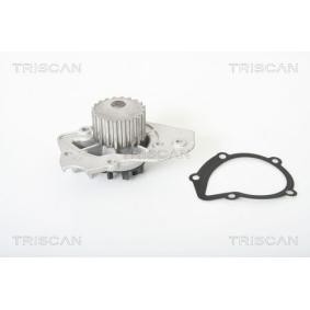 Achetez des Pompe à eau TRISCAN 8600 10409 à prix pour 41,43 €