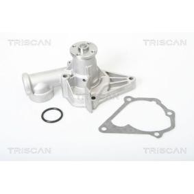 Wasserpumpe von TRISCAN