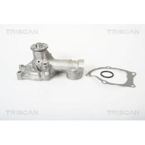 Achetez des Pompe à eau TRISCAN 8600 10857 à prix pour 39,11 €
