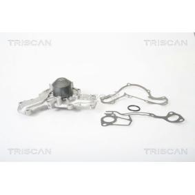 Wasserpumpe von TRISCAN