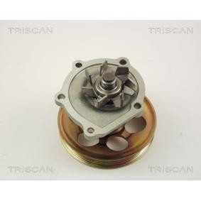 Achetez des Pompe à eau TRISCAN 8600 13010 à prix pour 45,05 €
