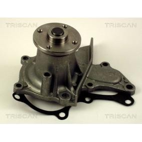 Achetez des Pompe à eau TRISCAN 8600 13011 à prix pour 52,13 €