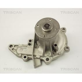 Achetez des Pompe à eau TRISCAN 8600 13015 à prix pour 49,16 €