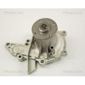 Achetez des Pompe à eau TRISCAN 8600 13016 à prix pour 48,90 €