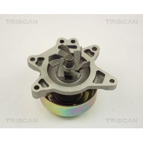 Achetez des Pompe à eau TRISCAN 8600 13017 à prix pour 52,53 €