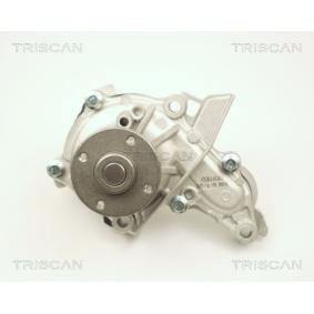 Achetez des Pompe à eau TRISCAN 8600 13026 à prix pour 50,10 €