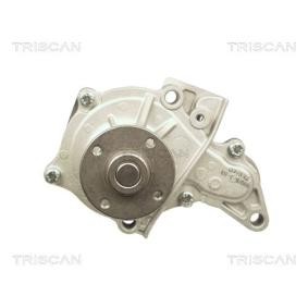 Achetez des Pompe à eau TRISCAN 8600 13027 à prix pour 50,73 €