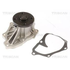 Achetez des Pompe à eau TRISCAN 8600 13030 à prix pour 44,59 €