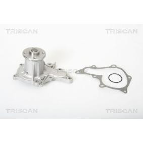 Achetez des Pompe à eau TRISCAN 8600 13860 à prix pour 47,05 €