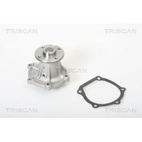 Achetez des Pompe à eau TRISCAN 8600 13865 à prix pour 40,70 €