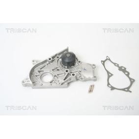 Achetez des Pompe à eau TRISCAN 8600 13900 à prix pour 62,29 €
